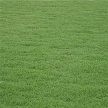 果岭草
